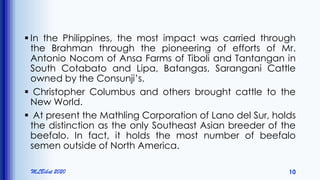  In the Philippines, the most impact was carried through
the Brahman through the pioneering of efforts of Mr.
Antonio Nocom of Ansa Farms of Tiboli and Tantangan in
South Cotabato and Lipa, Batangas, Sarangani Cattle
owned by the Consunji’s.
 Christopher Columbus and others brought cattle to the
New World.
 At present the Mathling Corporation of Lano del Sur, holds
the distinction as the only Southeast Asian breeder of the
beefalo. In fact, it holds the most number of beefalo
semen outside of North America.
MLBibat 2020 10
 