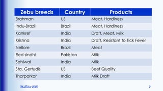 MLBibat 2020 7
Zebu breeds Country Products
Brahman US Meat, Hardiness
Indu-Brazil Brazil Meat, Hardiness
Kankref India Draft, Meat, Milk
Krishna India Draft, Resistant to Tick Fever
Nellore Brazil Meat
Red sindhi Pakistan Milk
Sahlwal India Milk
Sta. Gertudis US Beef Quality
Tharparkar India Milk Draft
 