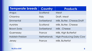 MLBibat 2020 8
Temperate breeds Country Products
Angus Scotland Meat
Chianina Italy Draft, Meat
Simmental Switzerland Milk, Butter, Cheese,Draft
Ayrshire Scotland Milk, Butter, Cheese
Brown Swiss Switzerland Milk , Cheese
Guernesey France Milk, High Butterfat
Holstein-Freisian Netherlands High-Producing Dairy Cow
Jersey France Milk, Butterfat
 