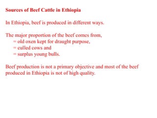 Beef Cattle production and management system | PPTX