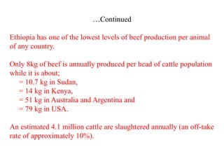 Beef Cattle production and management system | PPTX
