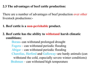 Beef Cattle production and management system | PPTX