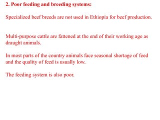 Beef Cattle production and management system | PPTX