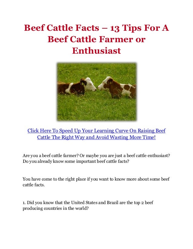 Beef Cattle Facts 13 Tips For A Beef Cattle Farmer Or Enthusiast