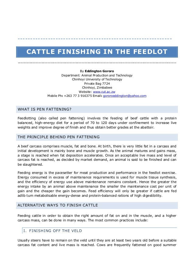 business plan for feedlot