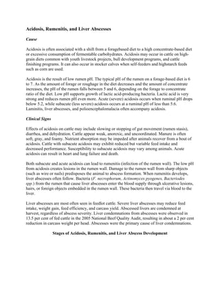 Comprehensive Guide to Nutritional Disorders in Beef Cattle: Causes ...