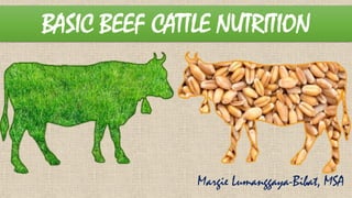 BASIC BEEF CATTLE NUTRITION
Margie Lumanggaya-Bibat, MSA
 