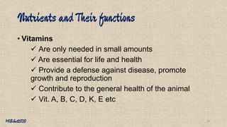 Beef cattle nutrition | PDF