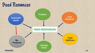 Beef cattle nutrition | PDF
