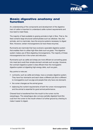 Beef cattle nutrition (australia) | PDF