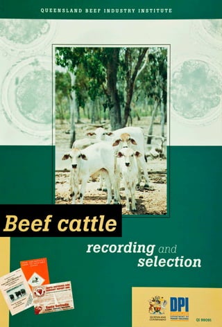 Q U E E N S L A N D B E E F I N D U S T R Y I N S T I T U T E
Beef cattle
recording and
selection
• I hMT '
QUEENSLAND
GOVERNMENT
DEPARTMENT OF
PRIMARY INDUSTRIES
QI 99091
 