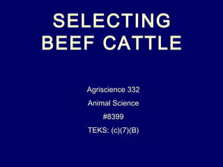 SELECTING
BEEF CATTLE
Agriscience 332
Animal Science
#8399
TEKS: (c)(7)(B)
 