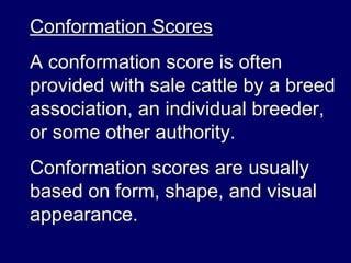 Beef cattleselection