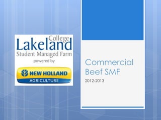Commercial
Beef SMF
2012-2013
 