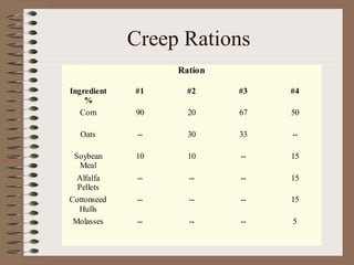 beef creep feeding.pptwef riot weffrkg efgd | PPT