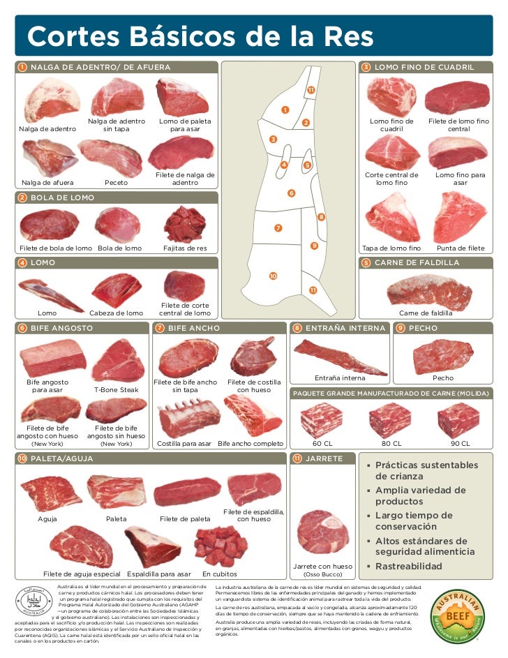 Beef Sections Chart
