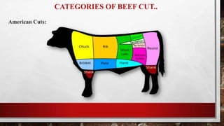 CATEGORIES OF BEEF CUT..
American Cuts:
 