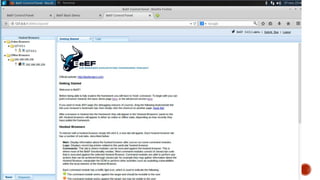 Beef framework | PPTX