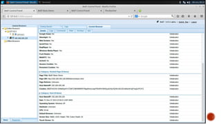 Beef framework | PPTX