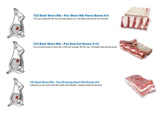 Beef front quarter | PDF