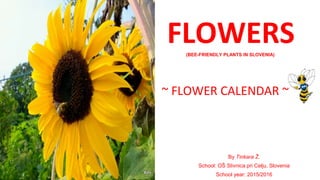 FLOWERS
~ FLOWER CALENDAR ~
By Tinkara Ž.
School: OŠ Slivnica pri Celju, Slovenia
School year: 2015/2016
(BEE-FRIENDLY PLANTS IN SLOVENIA))
 