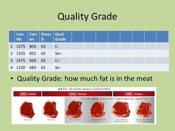 Beef Pricing Grid