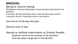 Beef production cow calf weaner | PDF