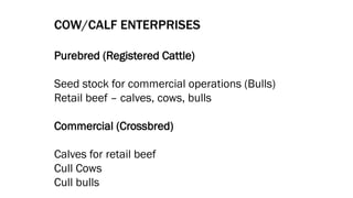 Beef production cow calf weaner | PDF