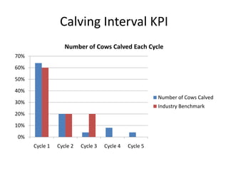 Calving Interval KPI
0%
10%
20%
30%
40%
50%
60%
70%
Cycle 1 Cycle 2 Cycle 3 Cycle 4 Cycle 5
Number of Cows Calved Each Cycle
Number of Cows Calved
Industry Benchmark
 