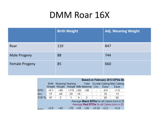 Birth Weight Adj. Weaning Weight
Roar 110 847
Male Progeny 88 744
Female Progeny 85 660
DMM Roar 16X
 