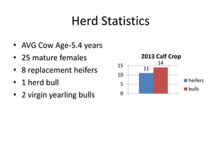 Herd Statistics
• AVG Cow Age-5.4 years
• 25 mature females
• 8 replacement heifers
• 1 herd bull
• 2 virgin yearling bulls
11
14
0
5
10
15
2013 Calf Crop
heifers
bulls
 