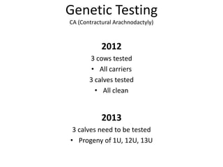 Genetic Testing
CA (Contractural Arachnodactyly)
2012
3 cows tested
• All carriers
3 calves tested
• All clean
2013
3 calves need to be tested
• Progeny of 1U, 12U, 13U
 