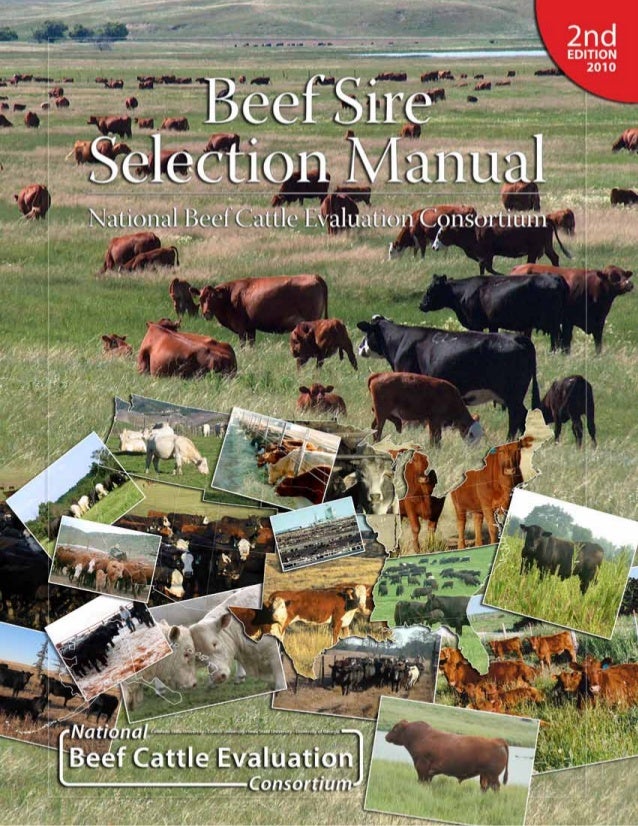 Beef Sire Selection Manual Usa