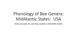Phenology of Bee Genera:
MidAtantic States: USA
Charts, by week, for each Genus based on USGS BIML records
 