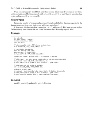 Beej Guide Network Programming | PDF