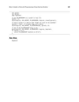 Beej Guide Network Programming | PDF