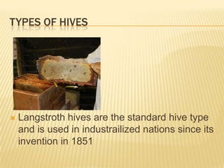 Types of hivesLangstroth hives are the standard hive type and is used in industrailized nations since its invention in 1851