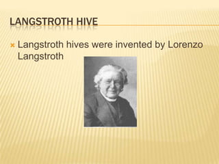 Langstroth HiveLangstroth hives were invented by Lorenzo Langstroth