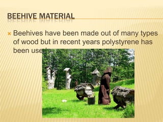 Beehive materialBeehives have been made out of many types of wood but in recent years polystyrene has been used