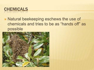 chemicalsNatural beekeeping eschews the use of chemicals and tries to be as “hands off” as possible
