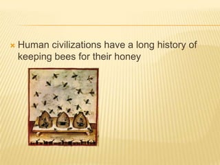Human civilizations have a long history of keeping bees for their honey