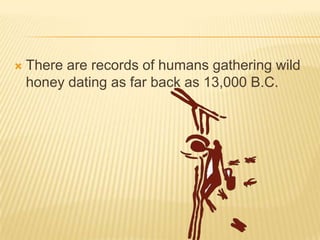 There are records of humans gathering wild honey dating as far back as 13,000 B.C.