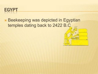 EgyptBeekeeping was depicted in Egyptian temples dating back to 2422 B.C
