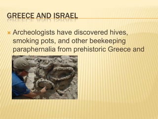 Greece and israelArcheologists have discovered hives, smoking pots, and other beekeeping paraphernalia from prehistoric Greece and Israel
