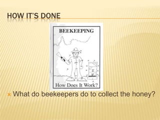 How it’s doneWhat do beekeepers do to collect the honey?