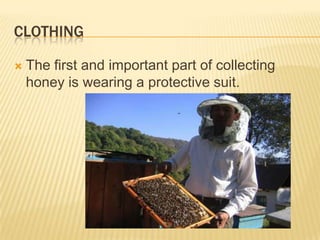 ClothingThe first and important part of collecting honey is wearing a protective suit.