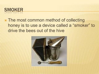 SmokerThe most common method of collecting honey is to use a device called a “smoker” to drive the bees out of the hive