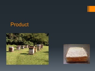 Beekeeping | PPTX