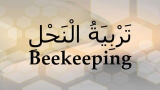 ْ‫ال‬ ُ‫ة‬َ‫ي‬ِ‫ب‬ْ‫ر‬َ‫ت‬ِ‫ل‬ْ‫ح‬َ‫ن‬
Beekeeping
 