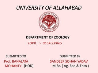 UNIVERSITY OF ALLAHABAD
DEPARTMENT OF ZOOLOGY
TOPIC :- BEEKEEPING
SUBMITTED BY
SANDEEP SOHAN YADAV
M.Sc. ( Ag. Zoo & Ento )
SUBMITTED TO
Prof. BANALATA
MOHANTY (HOD)
 